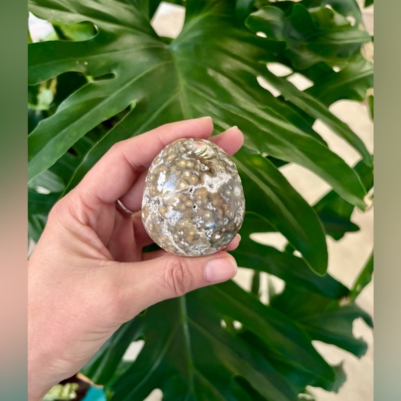 Other - Ocean Jasper Palmstone